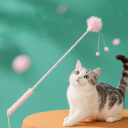 Cat teaser