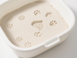 Cat Litter