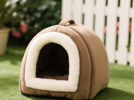 Kennel